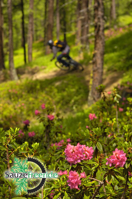 Sauze_Freeride_Jun_07-2